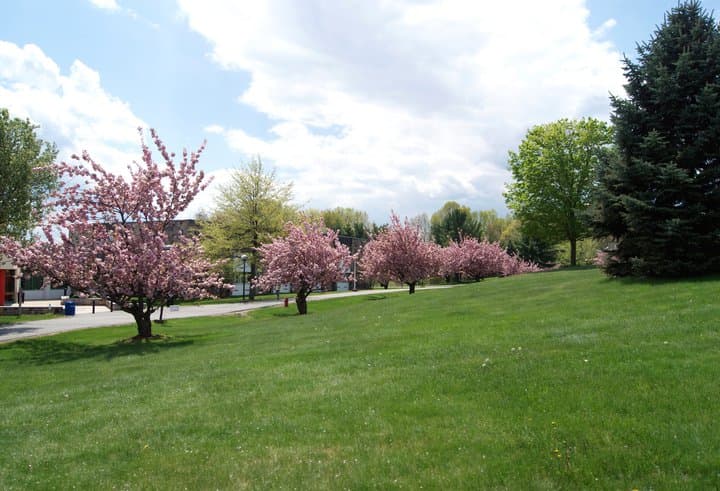 County College of Morris - Image 1