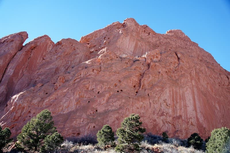 Apex College of Veterinary Technology - Image 1