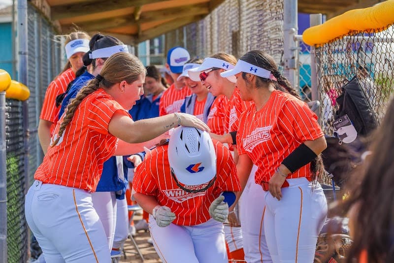 Galveston College - Image 1