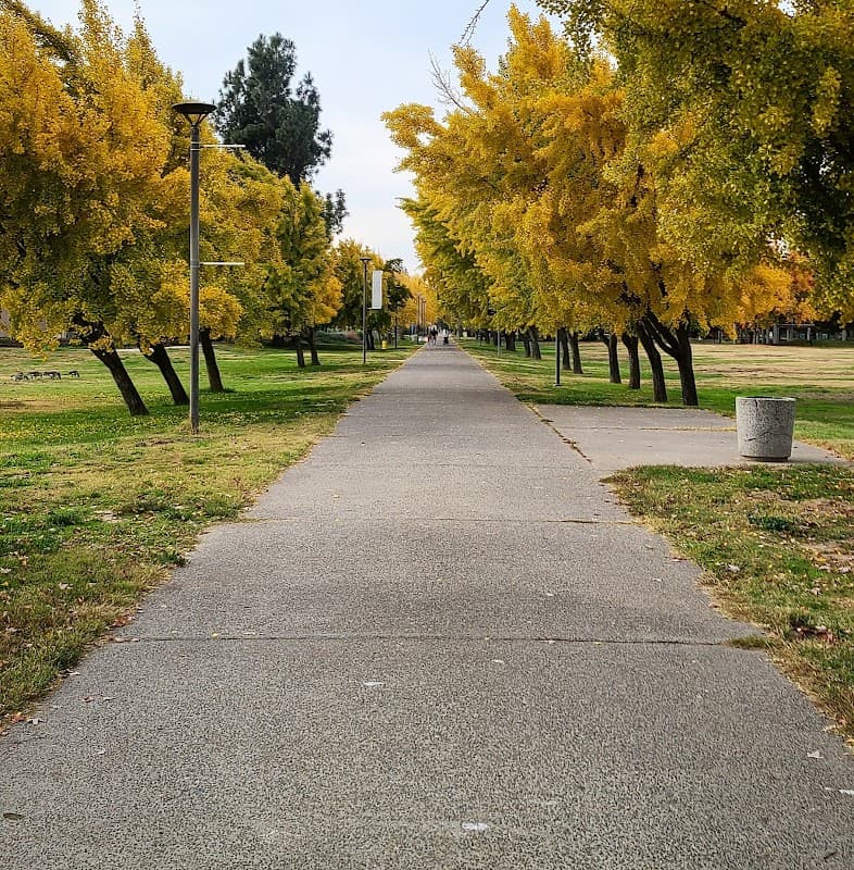 California State University-Stanislaus - Image 1