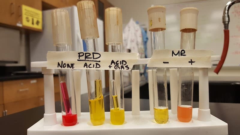 Alvin Community College - Image 1