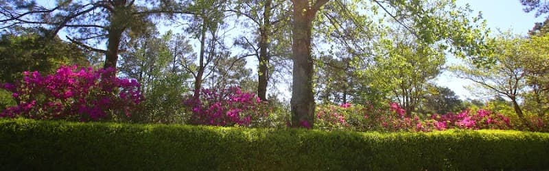 Francis Marion University - Image 1