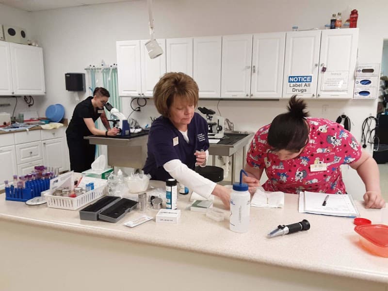 Colorado Academy of Veterinary Technology - Image 1